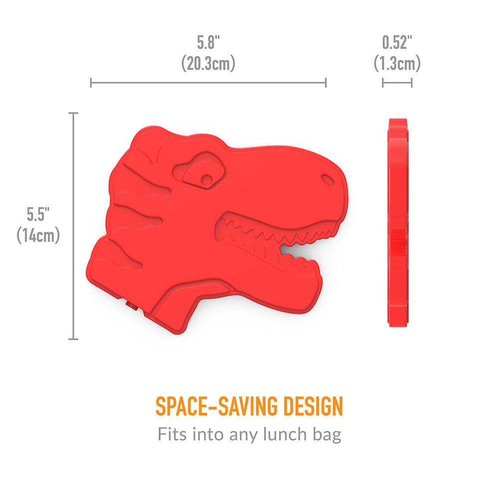 bentgo-kids-prints-lunch-set-q4 BGPTBDL4-DNO-14.jpg