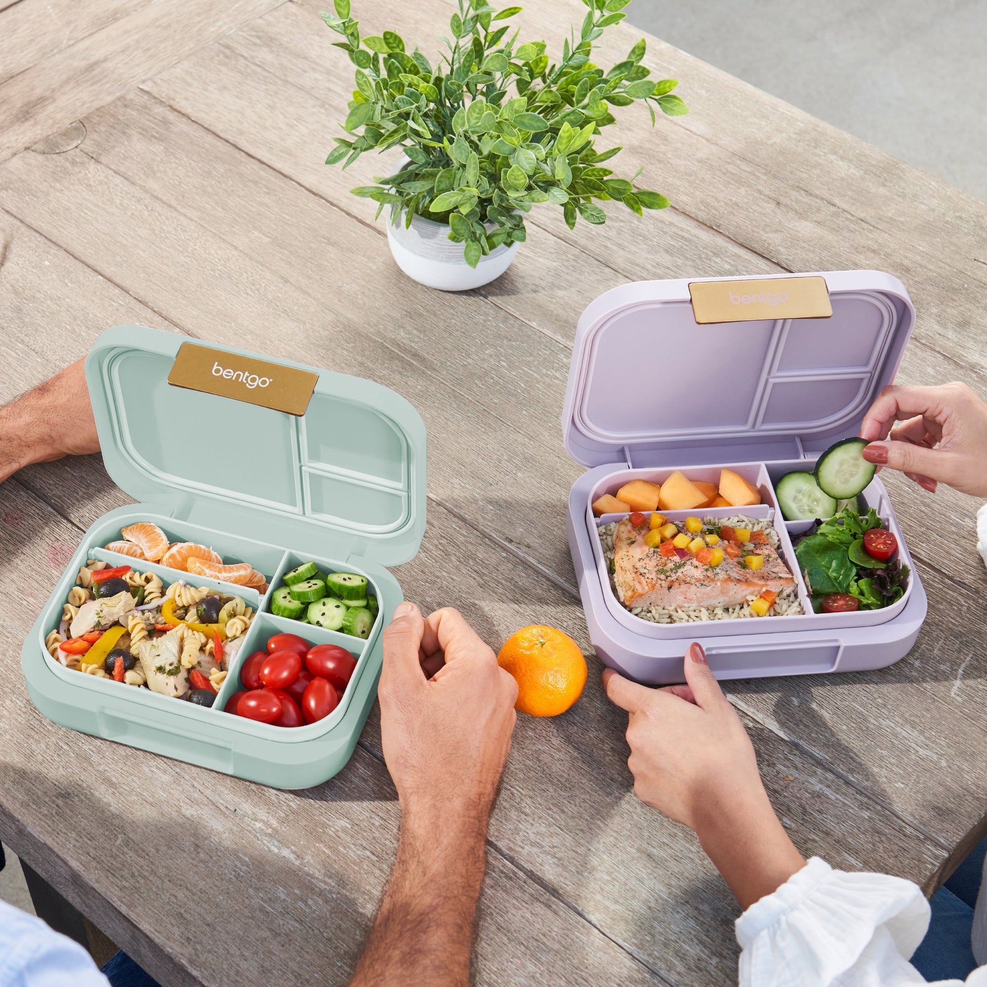 bentgo-modern-lunch-box-2-pack-a7 COSTCOBMCPRODUCTIMAGE_2.jpg
